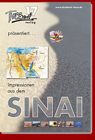 Sinai Bildband